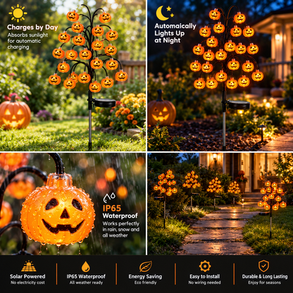 Solar Pumpkin Pathway Lights