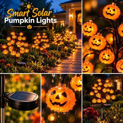 Solar Pumpkin Pathway Lights